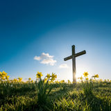 Abbildng: Platzhalter